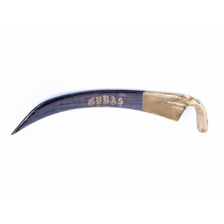 Коса ТУРЕЧЧИНА gunas -